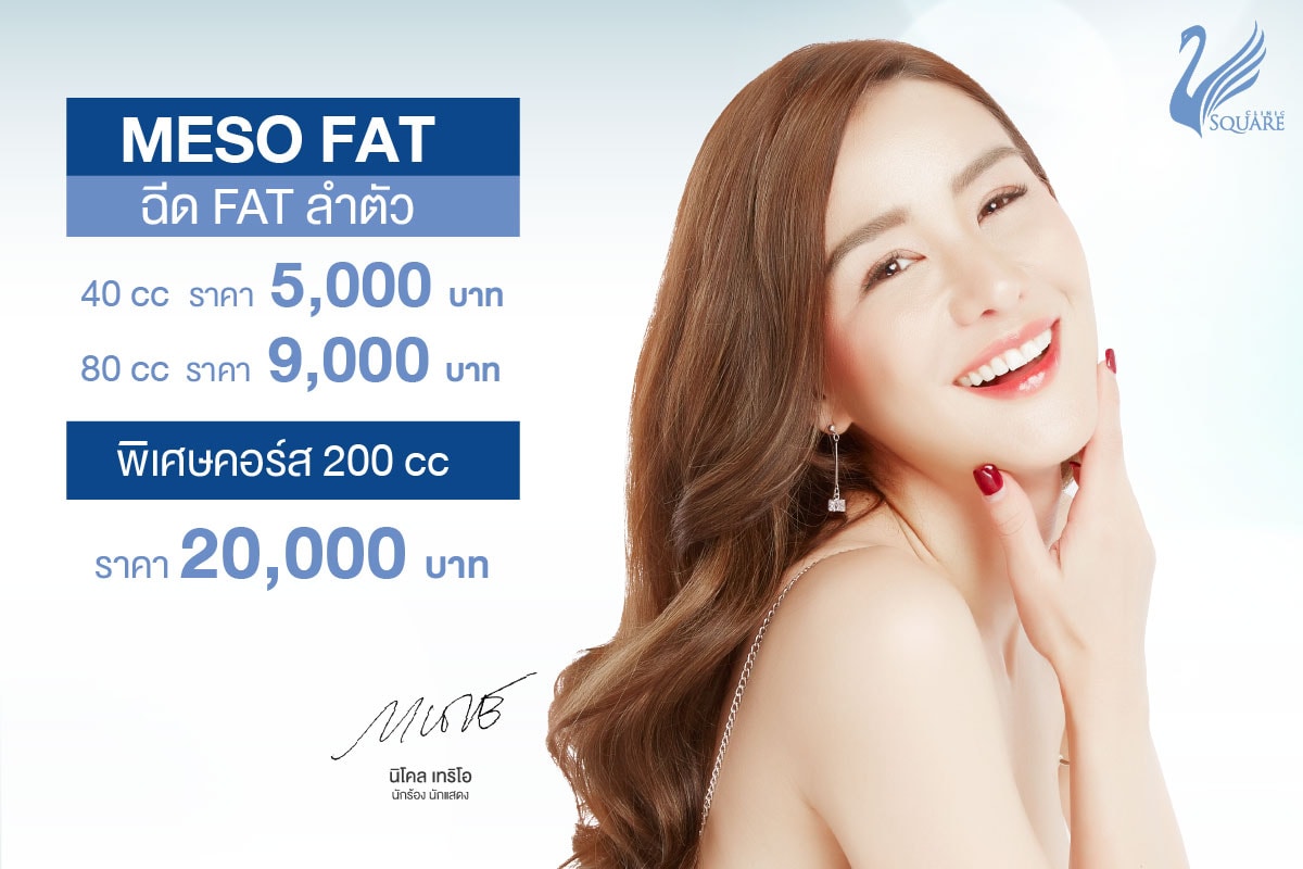 เมโสแฟตฉีดลำตัว