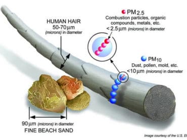 ภาพเปรียบเทียบขนาดของฝุ่นพิษ PM 2.5