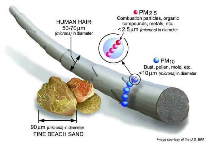ภาพเปรียบเทียบขนาดของฝุ่นพิษ PM 2.5