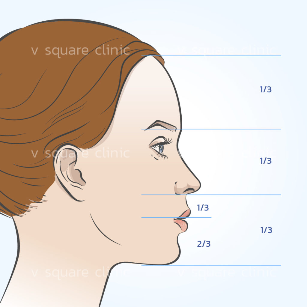 อัตราส่วนหน้าผากที่ต้องรับเข้ากับ คิ้ว จมูก และคาง เพื่อรูปหน้าที่สวย-ด้านข้าง