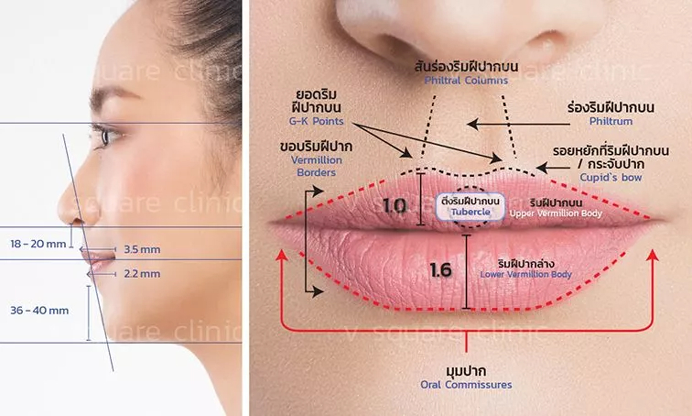 สัดส่วนโหงวเฮ้งปาก