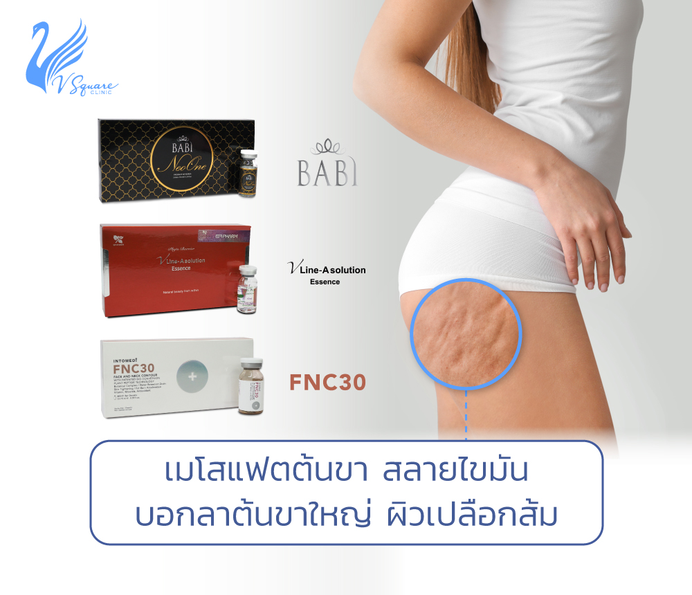 เมโสแฟตขา