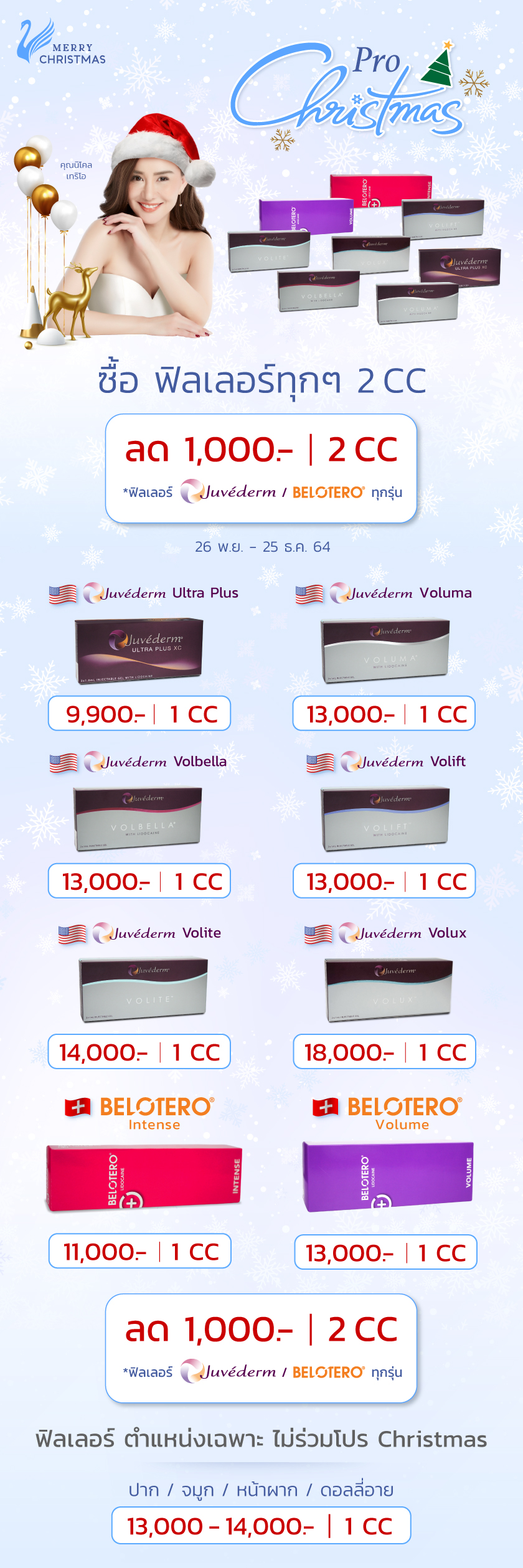 Landingpage_Pro_Christmas_OK