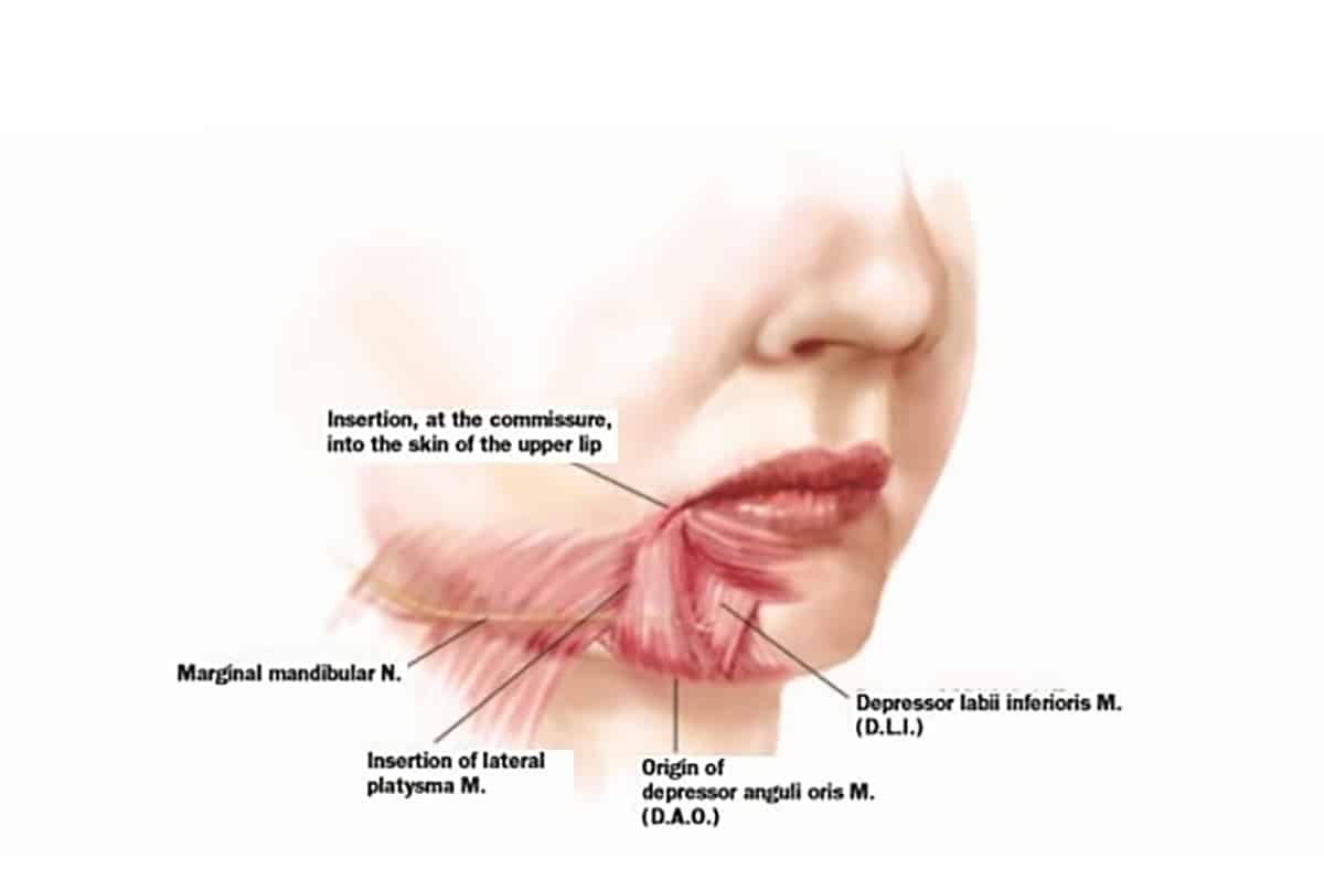 มุมปากตก