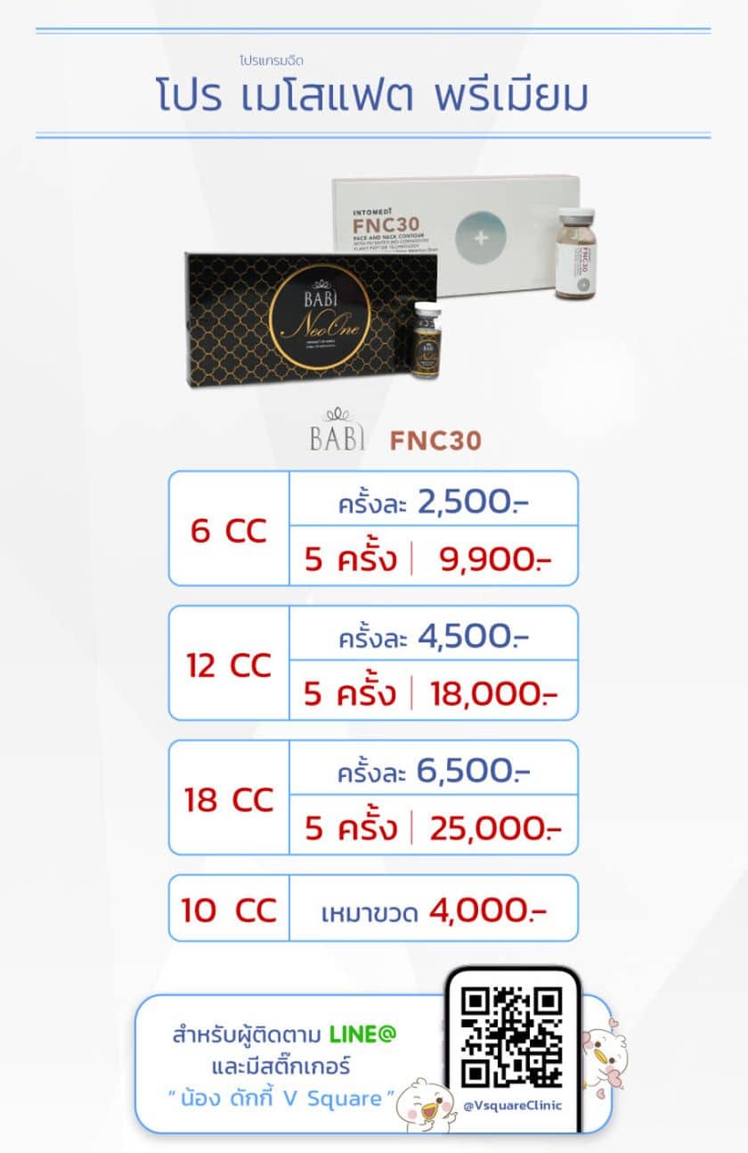 เมโสแฟตราคา (1)