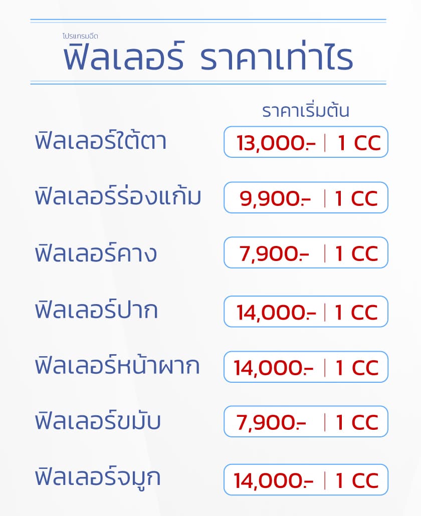 ฟิลเลอร์ ราคา