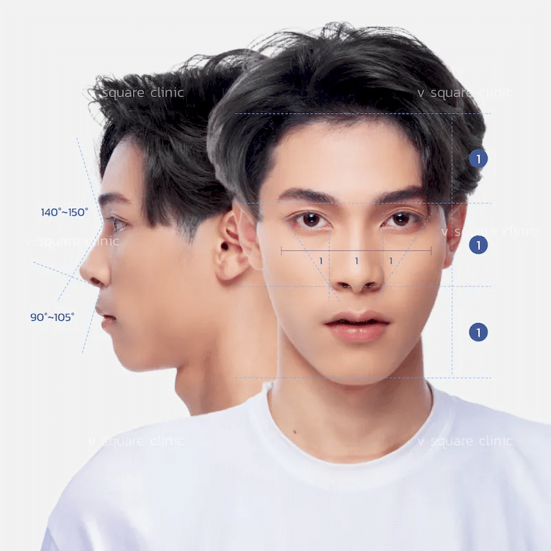 สัดส่วนหน้าผาก