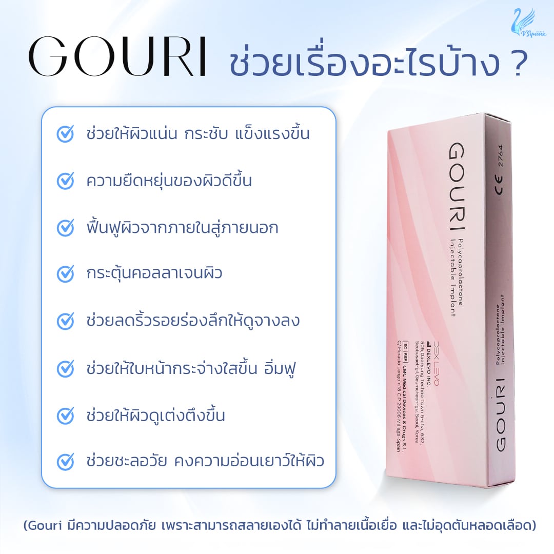 Gouri ช่วยอะไรได้บ้าง