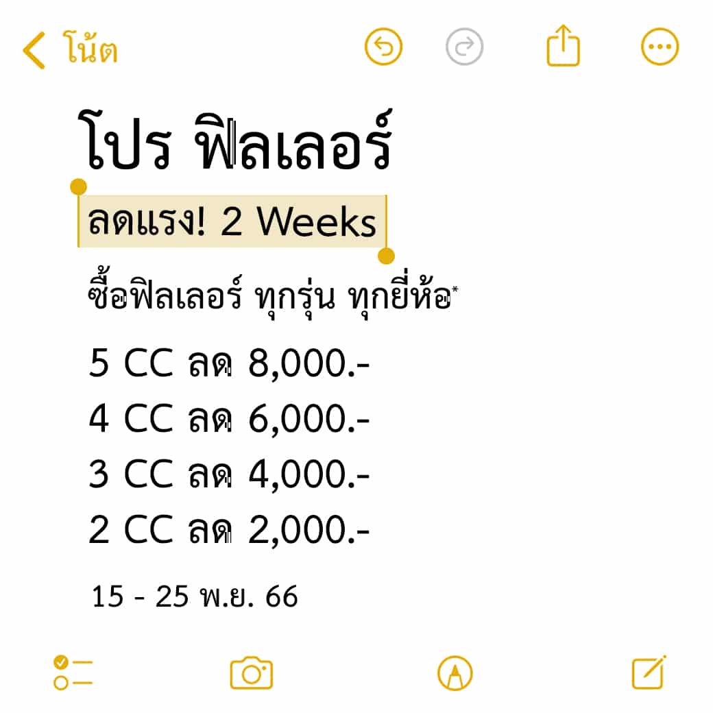 โปร ฟิลเลอร์ ลดแรง! 2 Weeks