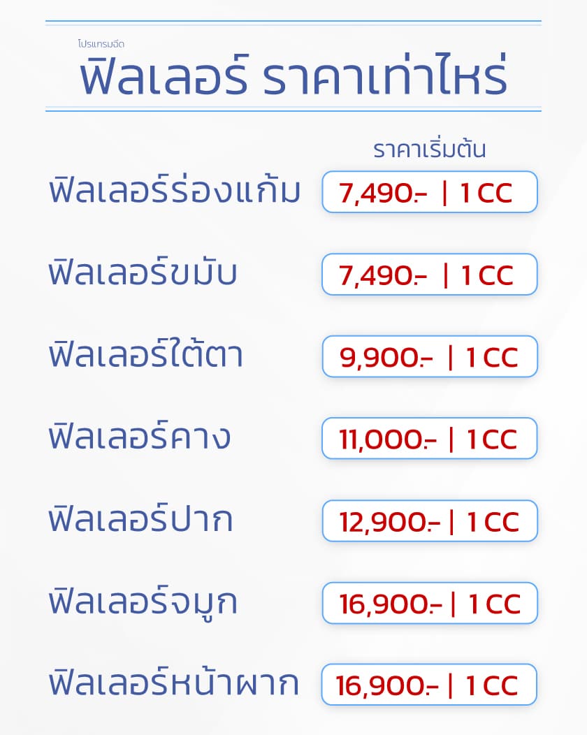 ฟิลเลอร์ราคา