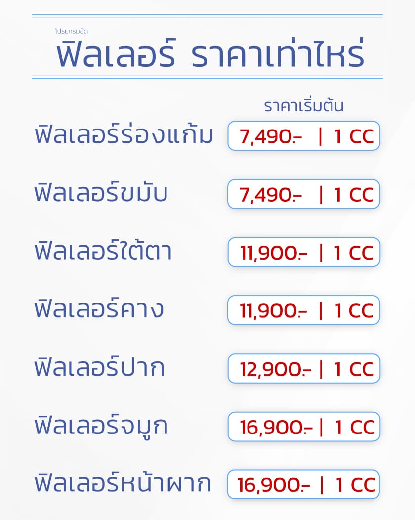 ฟิลเลอร์ราคาเท่าไหร่