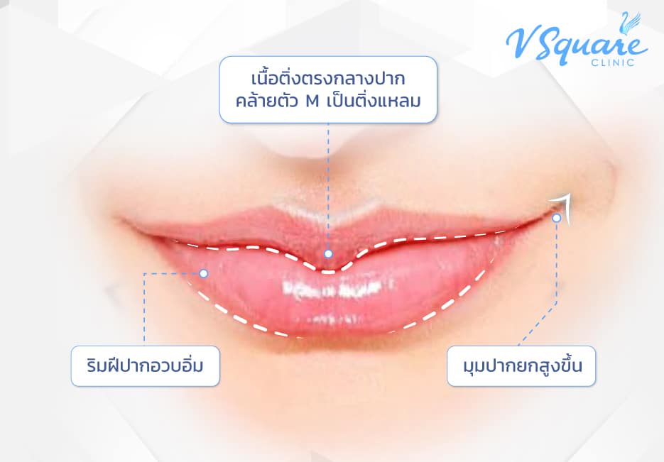 ลักษณะของปากมาสด้า