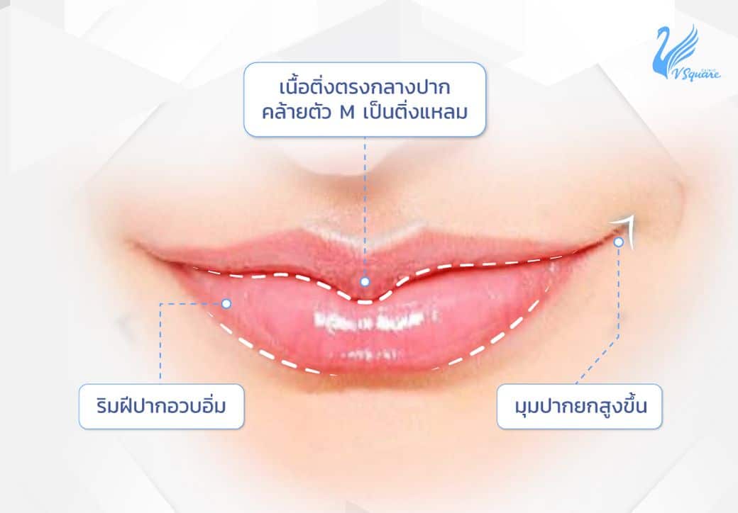 ลักษณะของปากมาสด้า