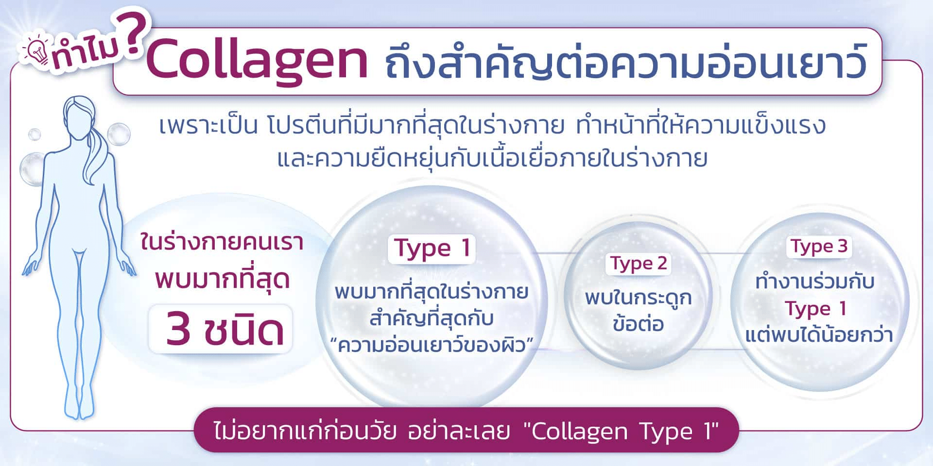 ความสำคัญของคอลลาเจน