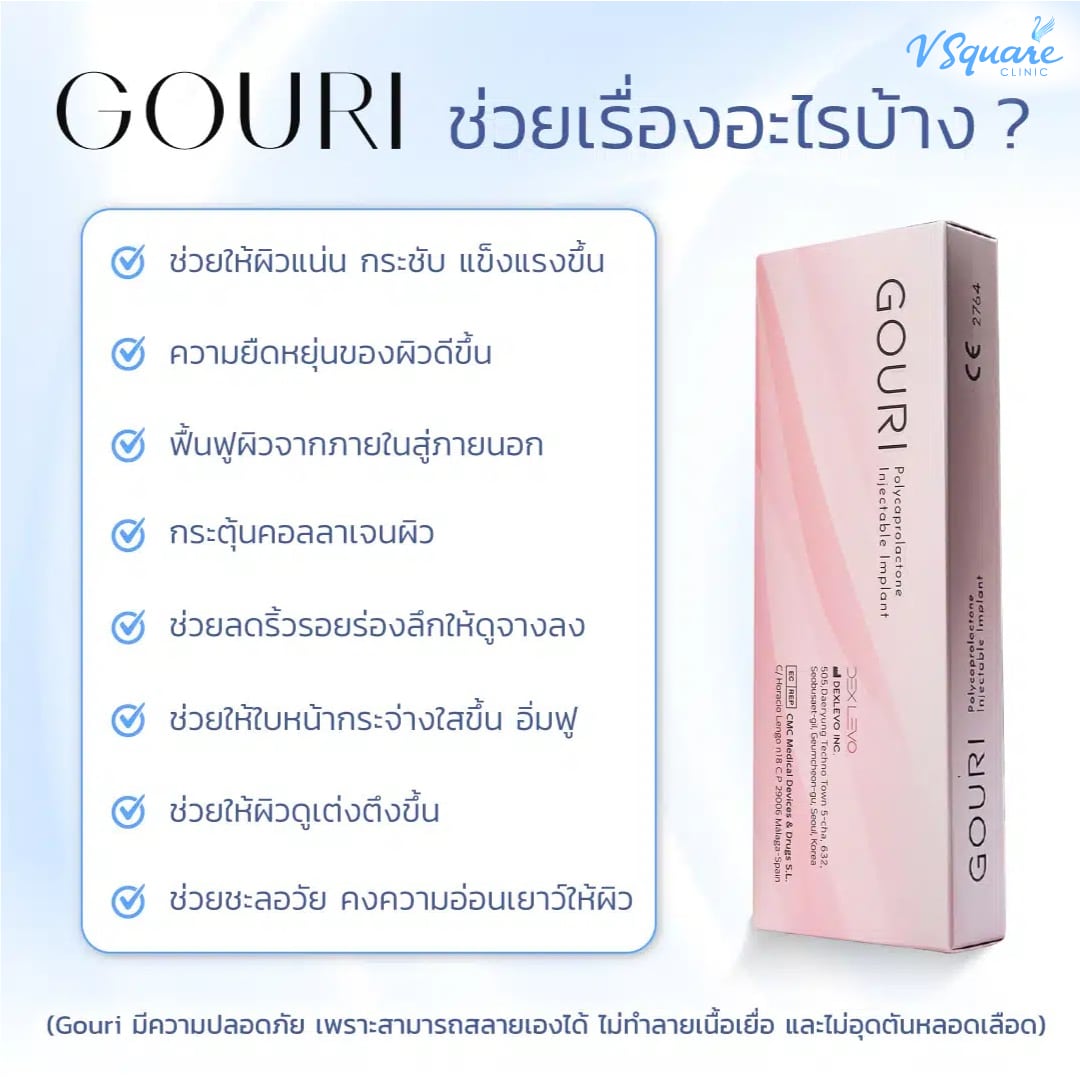 Gouri ช่วยอะไรได้บ้าง