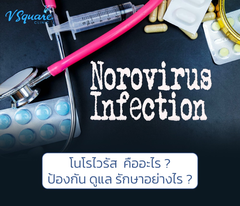 โนโรไวรัส-Norovirus