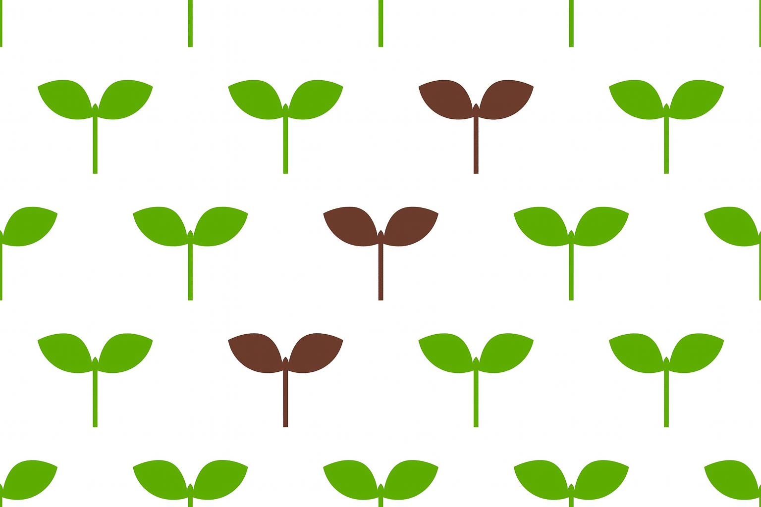 เทียบการปลูกเซลล์ไขมันคล้ายกับลูกต้นไม้