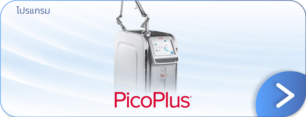 โปรแกรม Pico Plus (รูป)