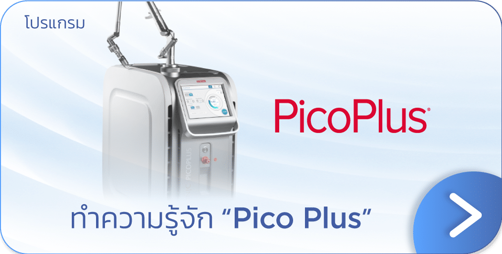 ทำความรู้จัก PicoPlus