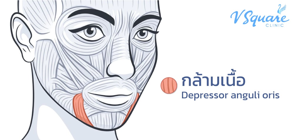 Depressor auguli oris