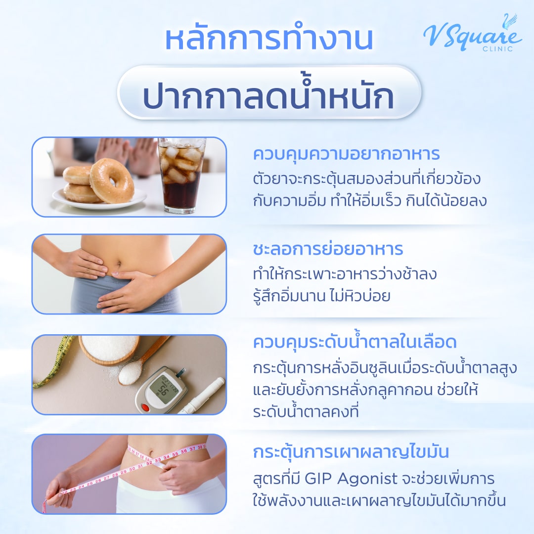 ปากกาลดน้ำหนักทำงานยังไง