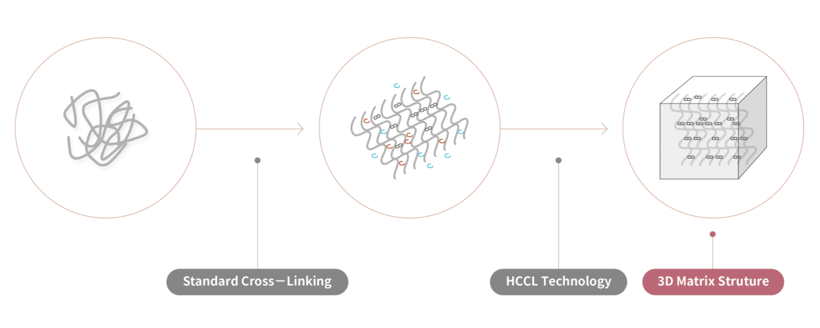เทคโนโลยี HCCL